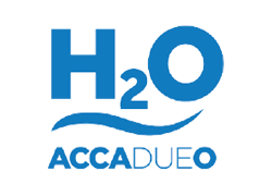 Accadueo Logo